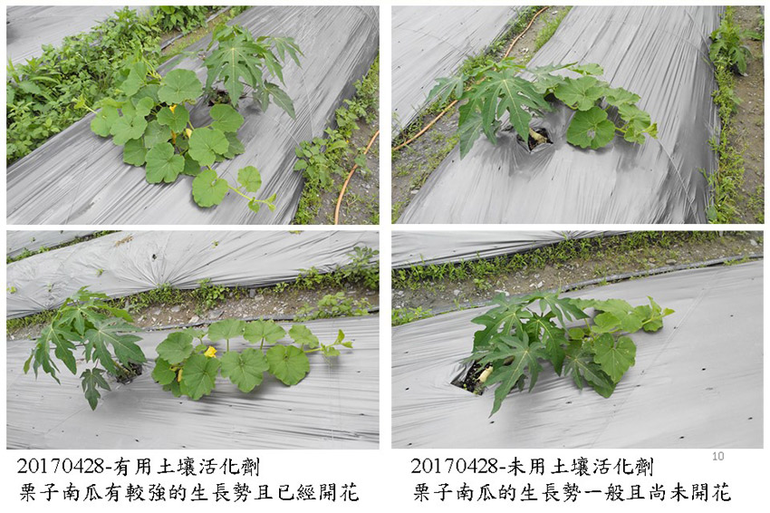 投影片10.JPG