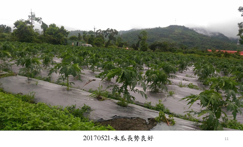 投影片11.JPG
