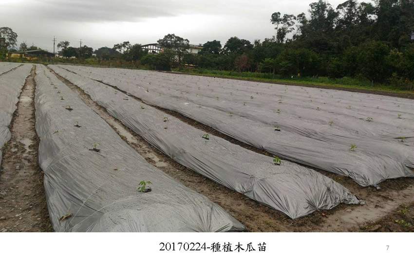 陽明生醫之神隱村有機農場正式簽約