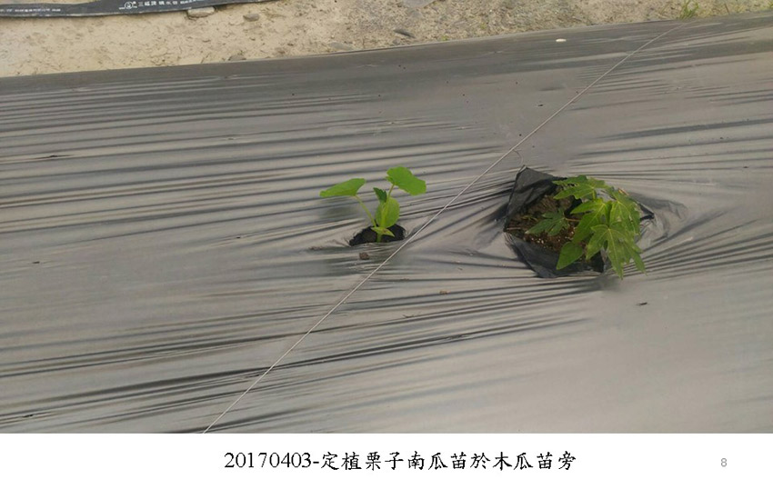 投影片8.JPG