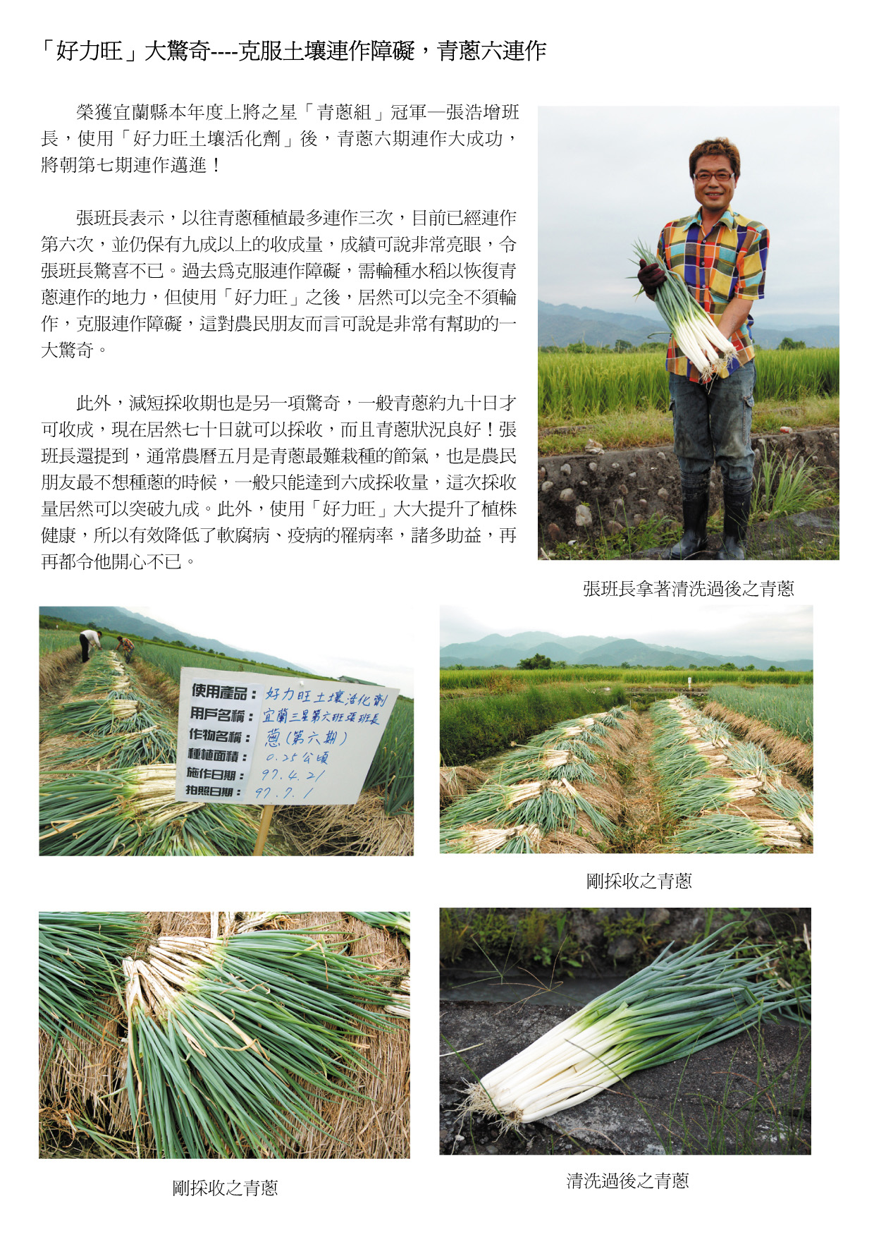 scallion_4.jpg